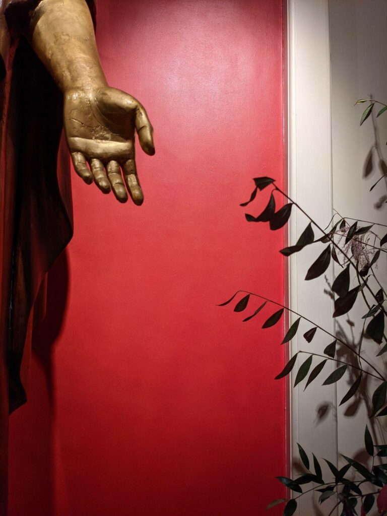 outstretched hand, red wall, houseplant
