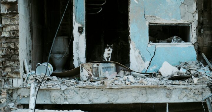 Apie kritikos ribas: atsakymas Eglei Činikei