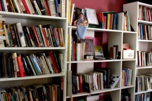 Vienos radikalios bibliotekos istorija