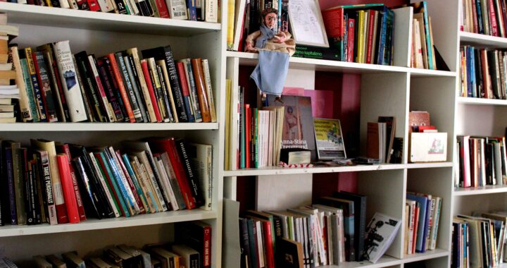 Vienos radikalios bibliotekos istorija